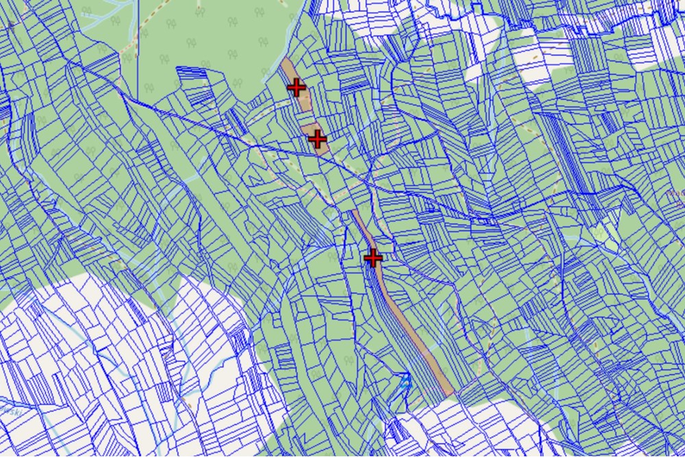 Działka - Sprzedaż - Podwilk, Polska - 4.jpg - 800091045-39