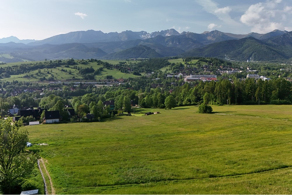 Nieruchomość gruntowa - Sprzedaż - Zakopane, Polska - DJI_20250607080249_0928_D.JPG - 800091054-33