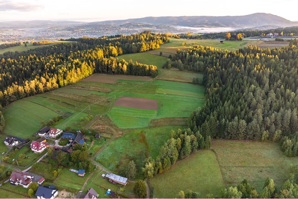 Działka budowlana - Sprzedaż - Rokiciny Podhalańskie, Polska - 20250927-DJI_0341-HDR.jpg - 800091055-13