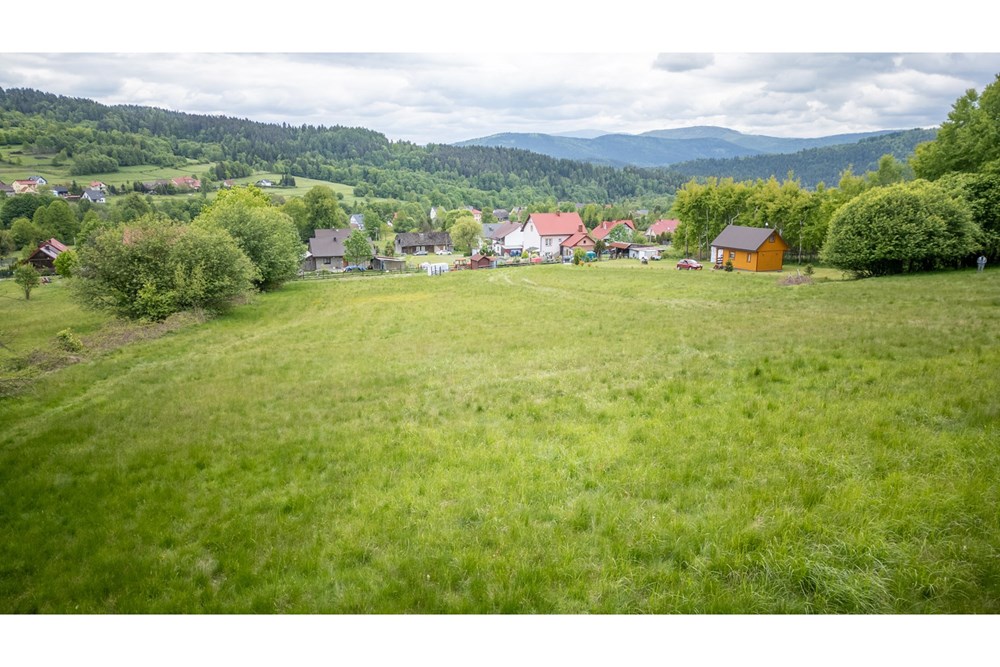 Działka - Sprzedaż - Krzeszów, Polska - DJI_0398.jpg - 470131112-6