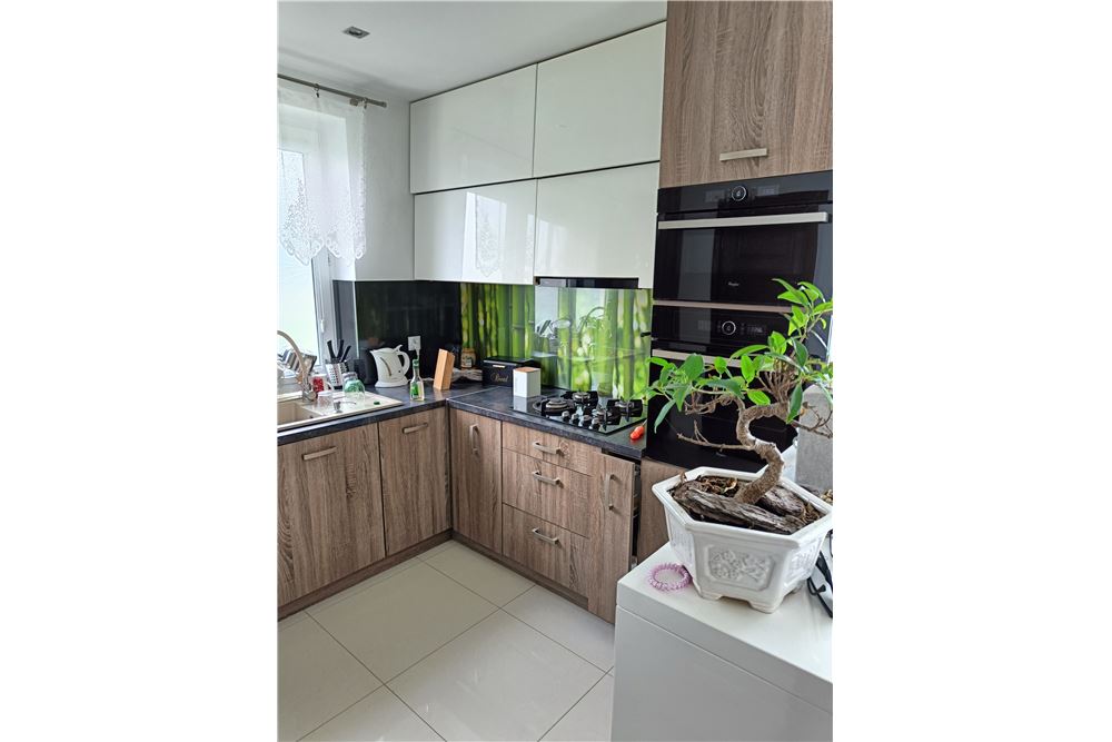 Dom jednorodzinny - Sprzedaż - Dziewin, Polska - 3 - 800241032-64