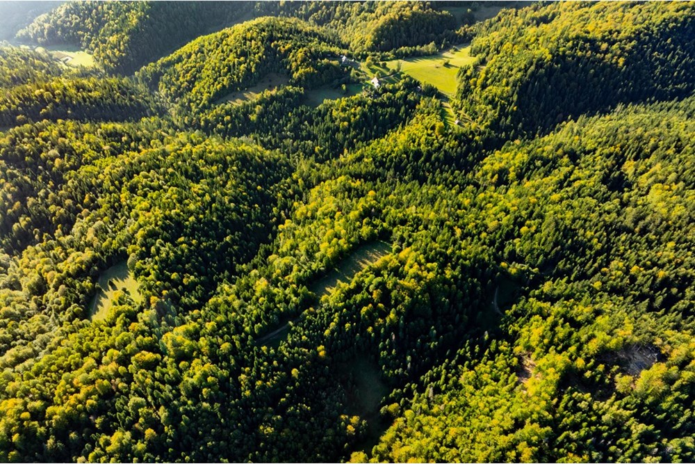 Działka - Sprzedaż - Harklowa, Polska - 20251004-DJI_0201-HDR.jpg - 470151024-458