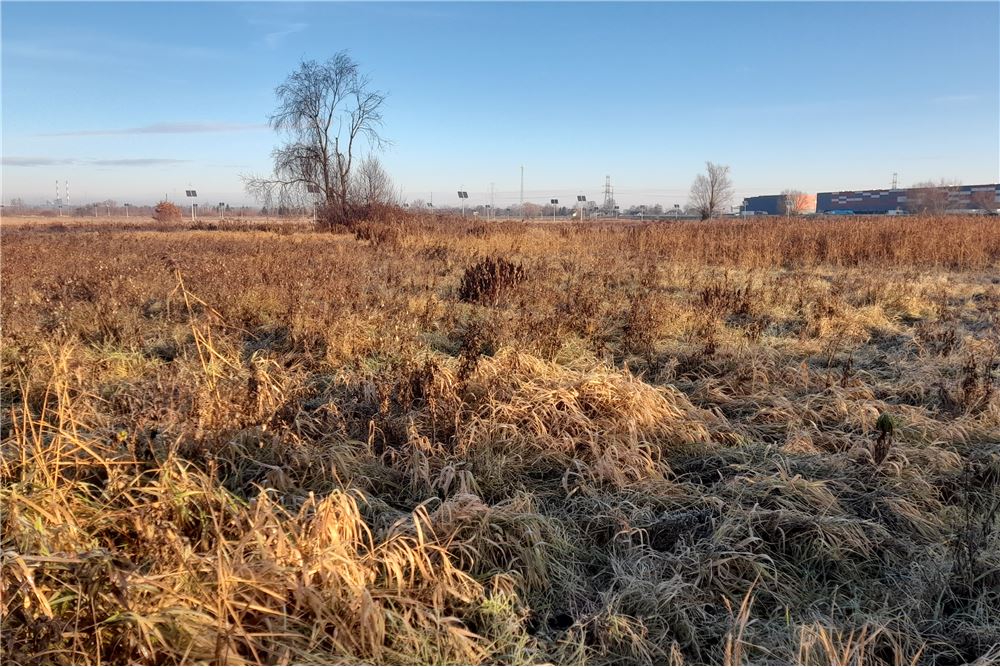 Działka - Sprzedaż - Brzegi, Polska - 2 - 800241031-31