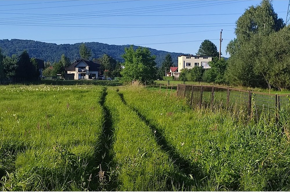 Działka budowlana - Sprzedaż - Pietrzykowice, Polska - IMG_20250812_182922.jpg - 800061133-8