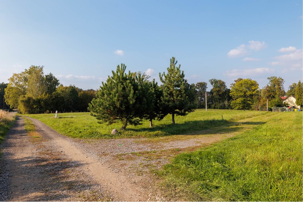 Działka budowlana - Sprzedaż - Bielsko-Biała, Polska - warszawska-05.jpg - 800061107-80