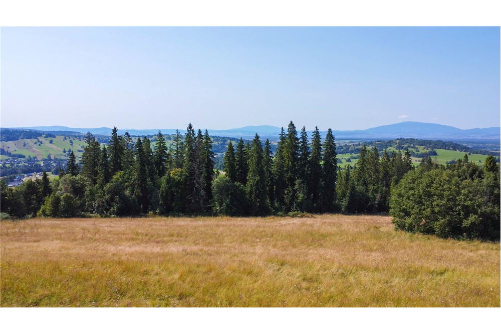 Nieruchomość gruntowa - Sprzedaż - Dzianisz, Polska - 53 - 800061116-23