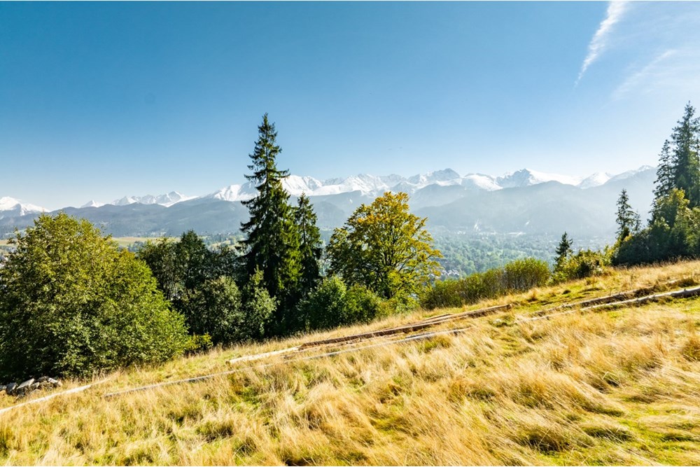 Działka - Sprzedaż - Zakopane, Polska - 20251004-DJI_0942-HDR.jpg - 470151024-455