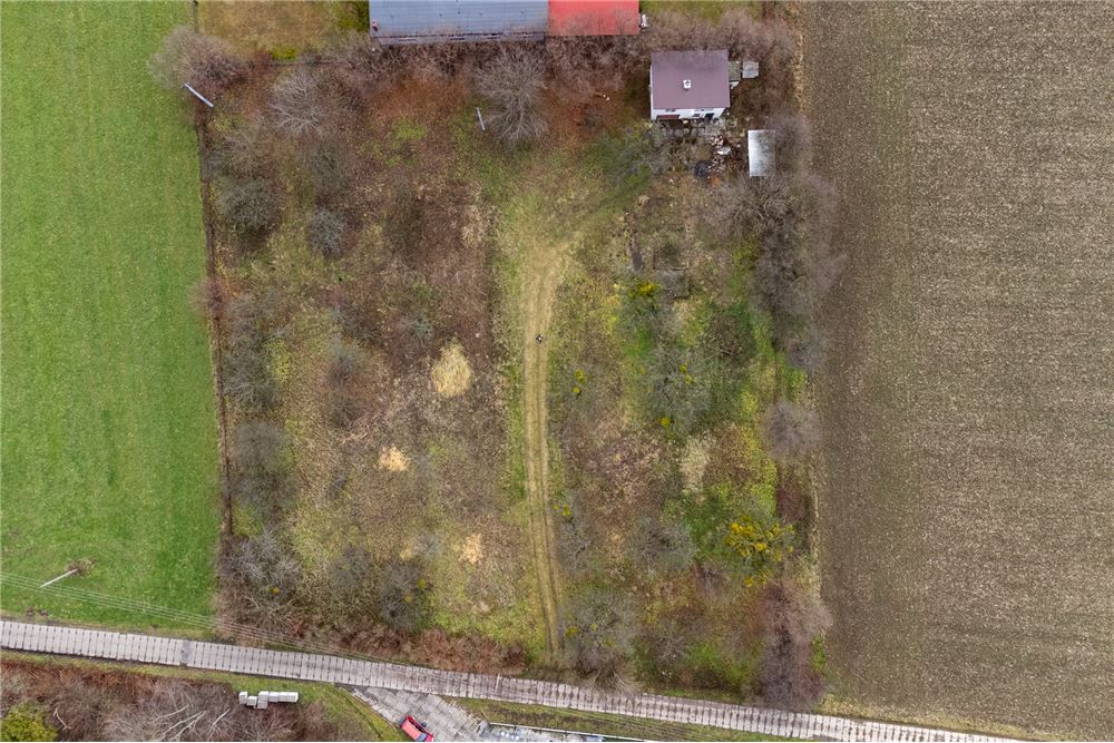 Nieruchomość gruntowa - Sprzedaż - Goleszów, Polska - 2 - 800061016-1259
