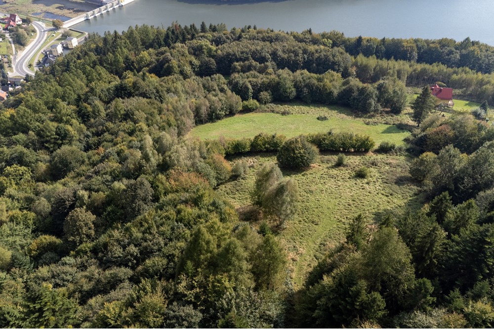 Działka budowlana - Sprzedaż - Międzybrodzie Bialskie, Polska - DJI_0500.jpg - 800061103-193