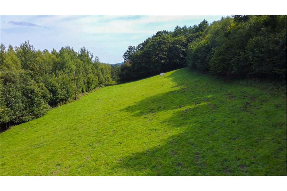 Działka - Sprzedaż - Tarnawa Dolna, Polska - 52 - 800061116-22