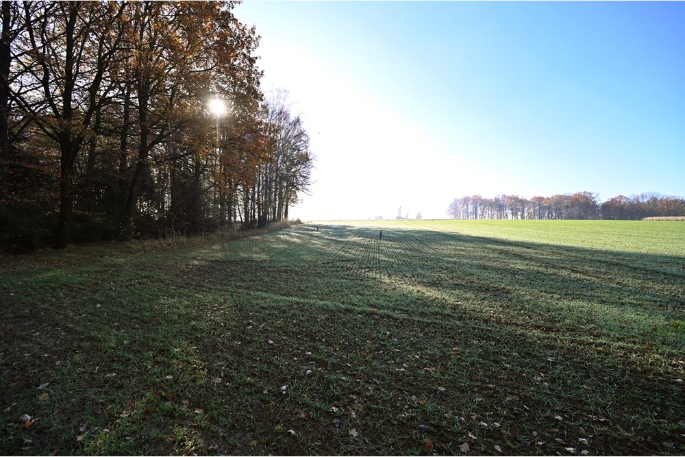 Działka - Sprzedaż - Witkowice, Polska - 38.JPG - 470131110-4