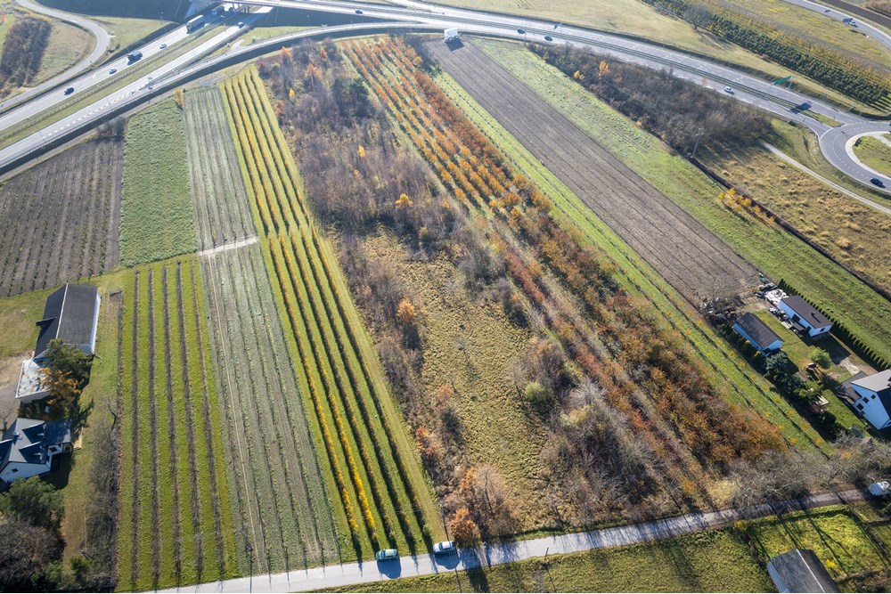 Nieruchomość gruntowa - Sprzedaż - Tarczyn, Polska - REMBERTOW-12.jpg - 810251035-71