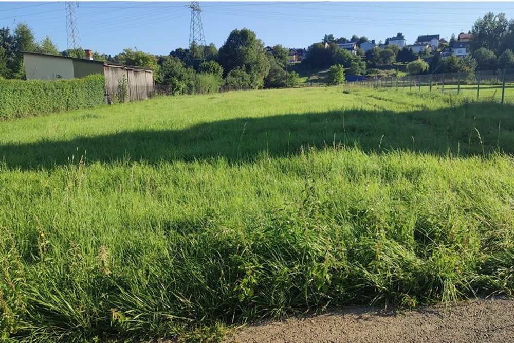 Działka budowlana - Sprzedaż - Pietrzykowice, Polska - IMG_20250812_180227.jpg - 800061133-8