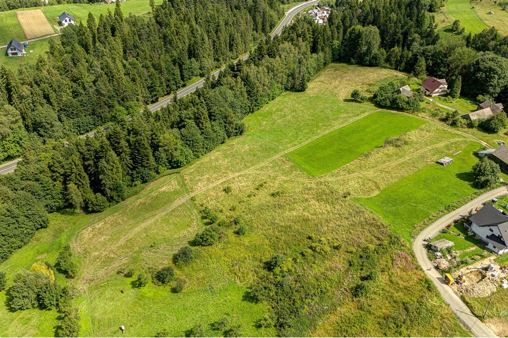 Działka - Sprzedaż - Krośnica, Polska - 0007_pajerski-dzialka-krosnica.jpg - 470131113-349