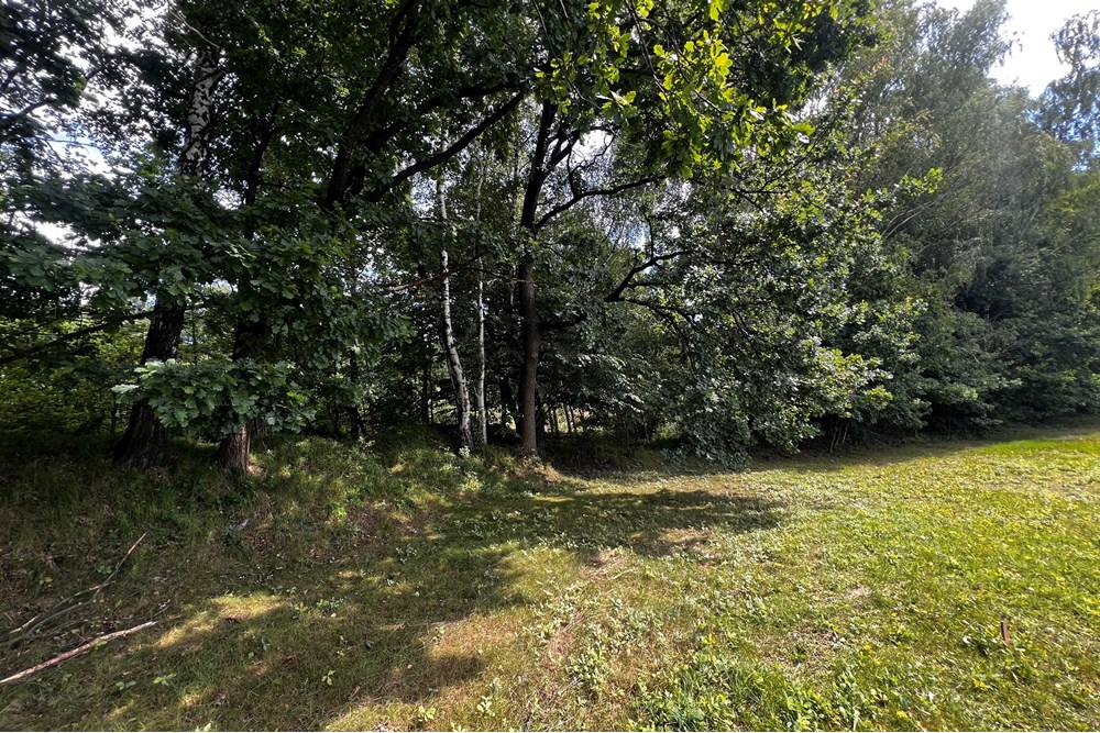 Działka budowlana - Sprzedaż - Jasienica, Polska - IMG_8101.jpeg - 800061117-36