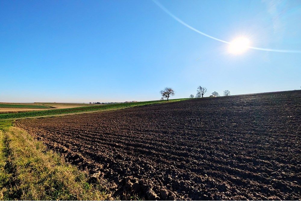 Nieruchomość inwestycyjna - Sprzedaż - Rudnik, Polska - 1303bce6-eaa7-4410-9871-14c74729fe35.jpg - 470311007-9