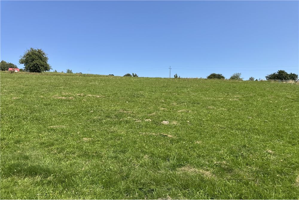 Działka budowlana - Sprzedaż - Młynne, Polska - 44 - 800061103-178