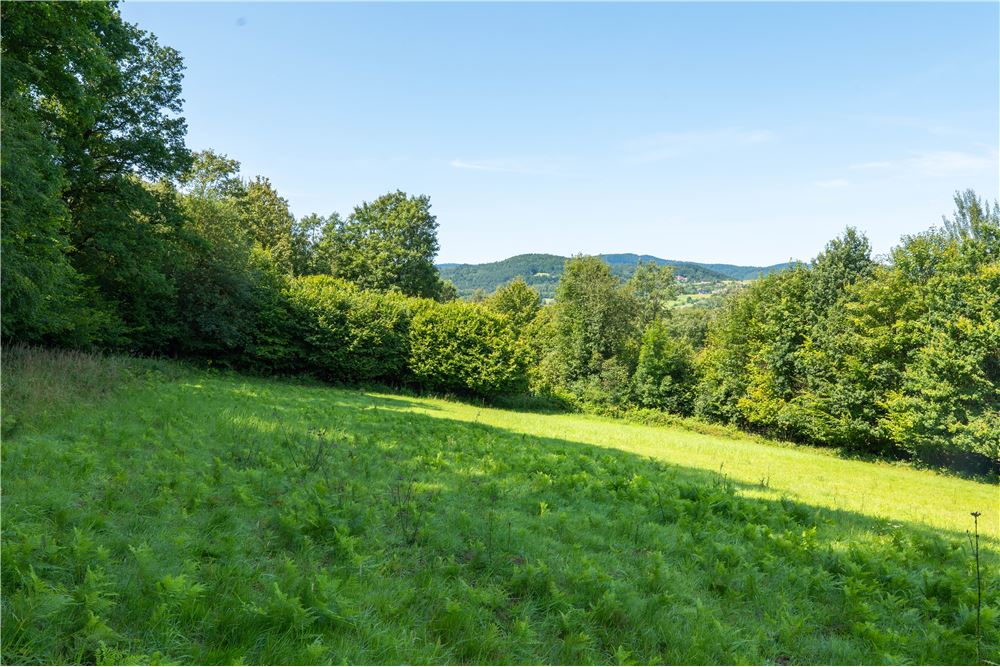 Działka - Sprzedaż - Tarnawa Dolna, Polska - 48 - 800061116-22