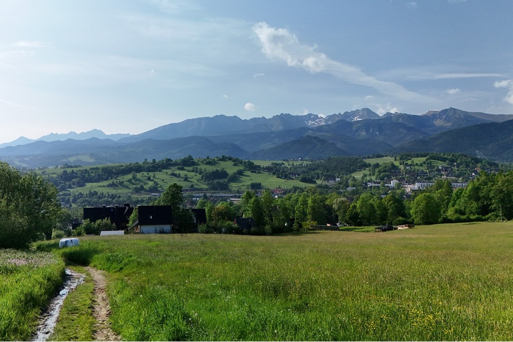 Nieruchomość gruntowa - Sprzedaż - Zakopane, Polska - DJI_20250607080736_0950_D.JPG - 800091054-33