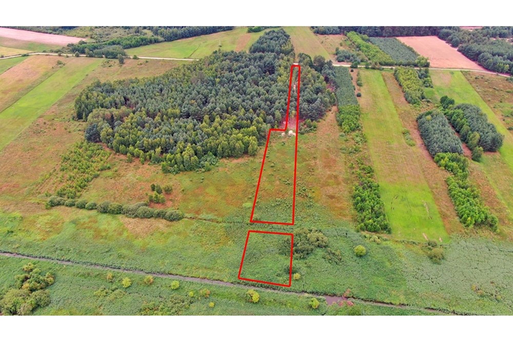 Nieruchomość gruntowa - Sprzedaż - Rudniki-Kolonia, Polska - Koniecpol (2).jpg - 800041074-18