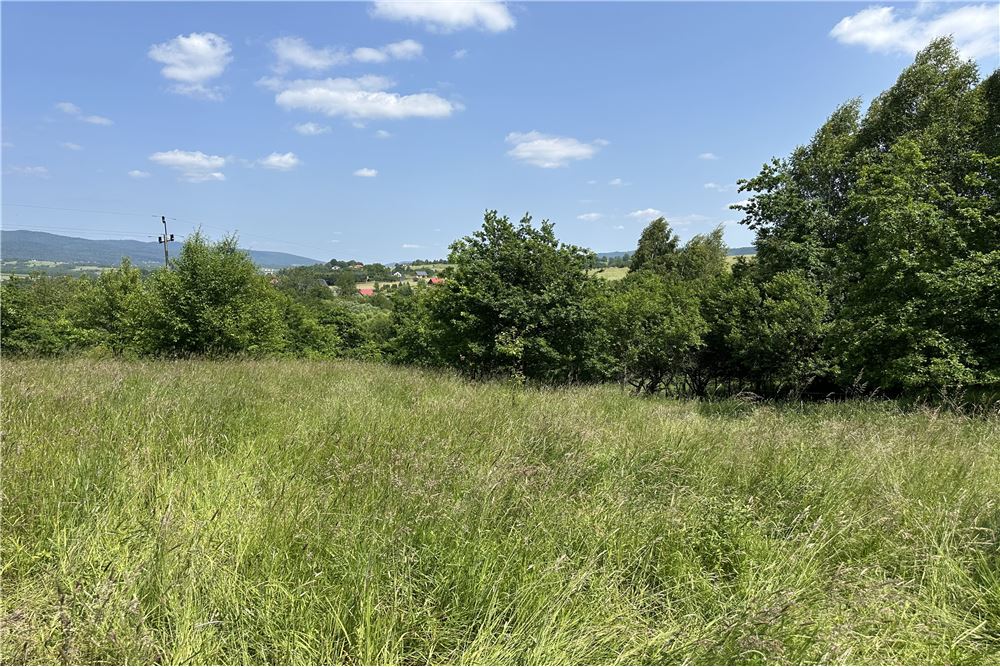 Działka budowlana - Sprzedaż - Rychwałd, Polska - 83 - 800061103-169