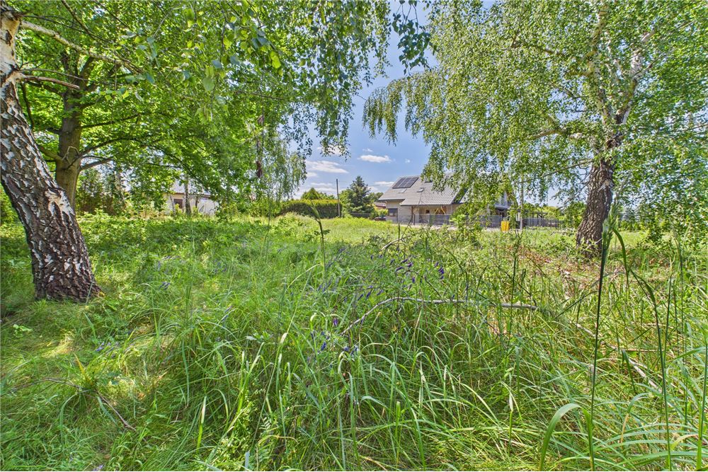 Działka budowlana - Sprzedaż - Żory, Polska - 7 - 470311001-39