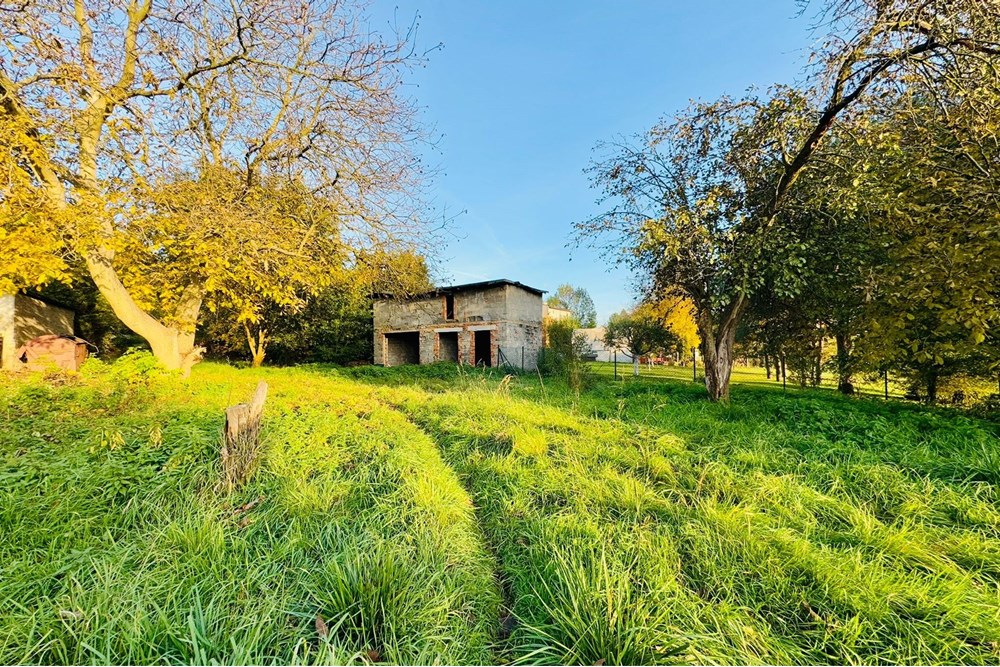Działka budowlana - Sprzedaż - Rybnik, Polska - zagłoby 5.jpg - 470311001-56