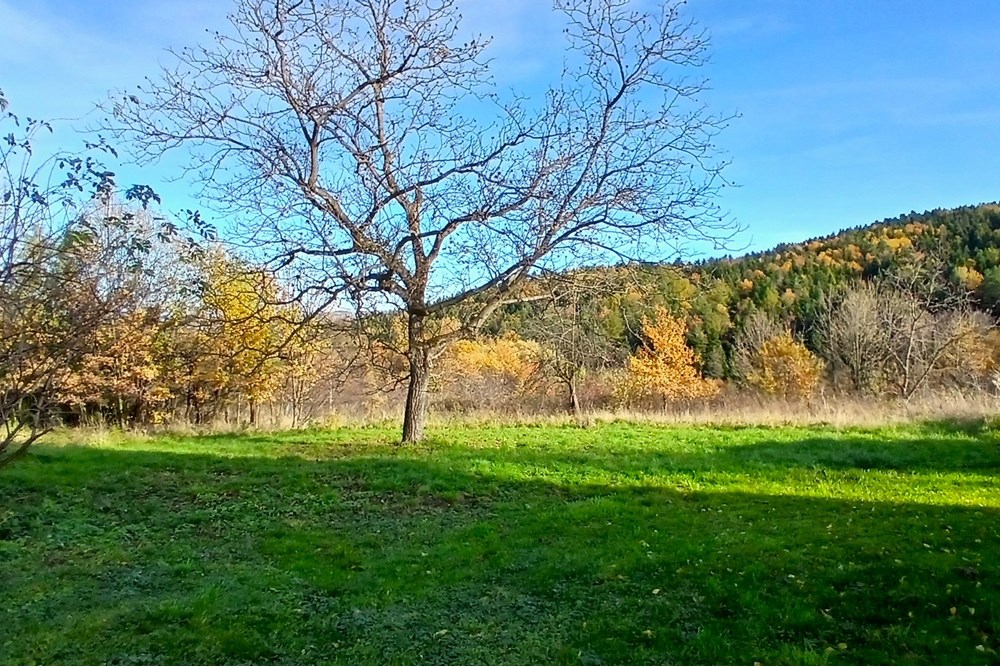 Dom wolnostojący - Sprzedaż - Krasne-Lasocice, Polska - 20251031_133728.jpg - 800241017-143