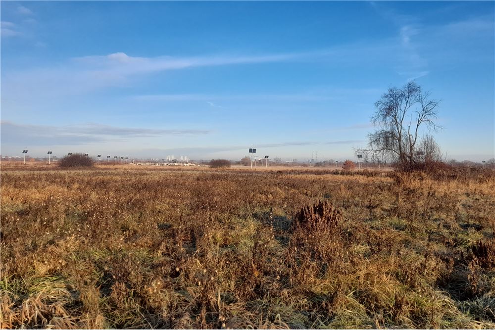 Działka - Sprzedaż - Brzegi, Polska - 1 - 800241031-31