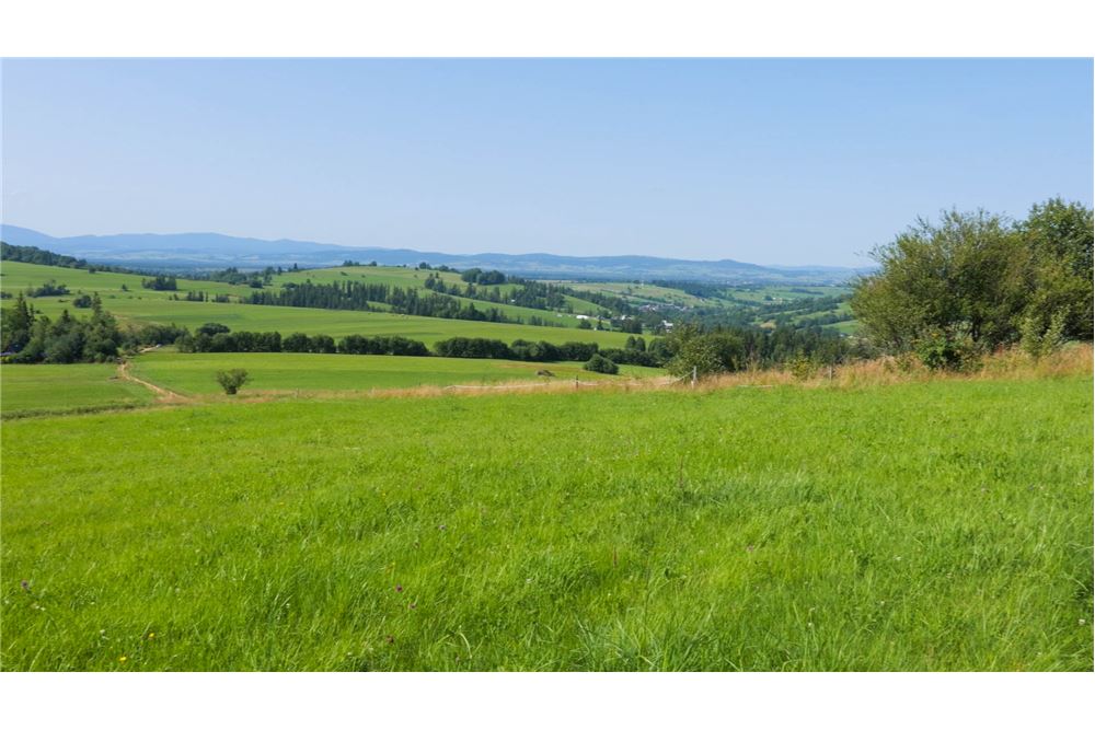 Nieruchomość gruntowa - Sprzedaż - Dzianisz, Polska - 27 - 800061116-24