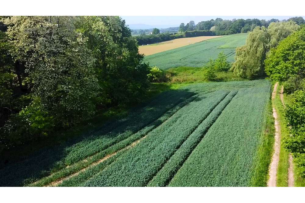 Działka budowlana Sprzedaż Gierałtowice, Polska