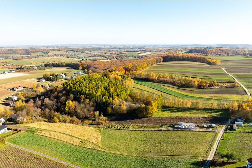 Działka - Sprzedaż - Stoki, Polska - 20251031-DJI_0139-HDR.jpg - 800241032-77