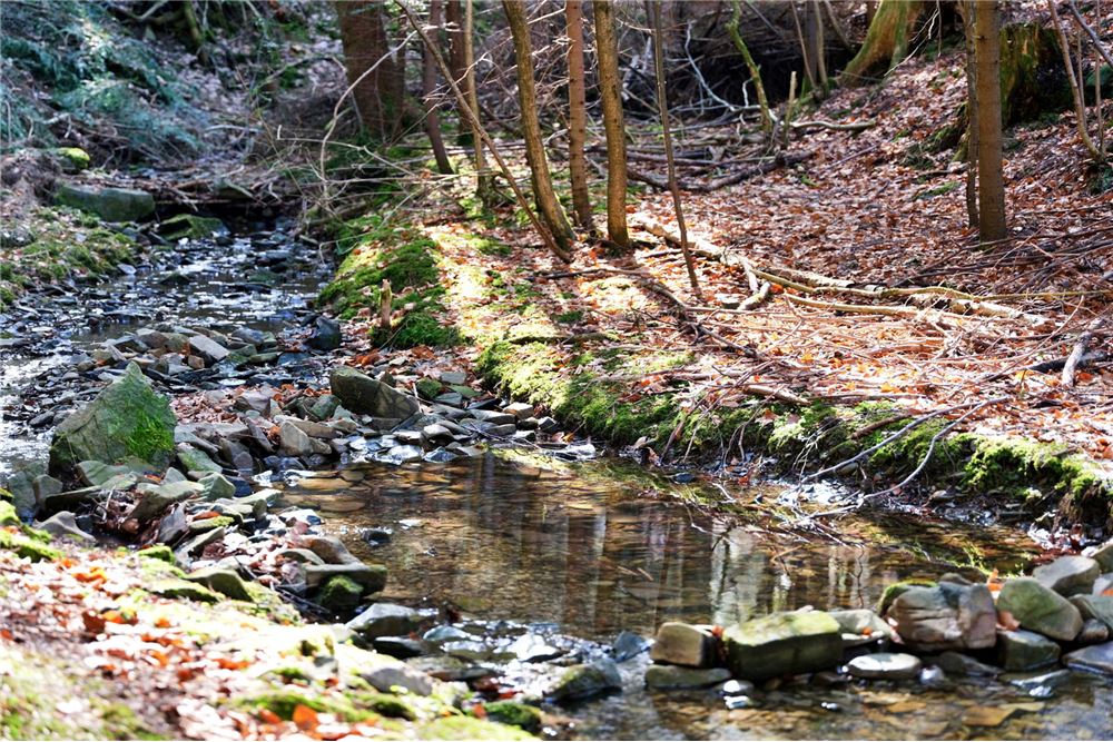 Dom wolnostojący - Sprzedaż - Pewel Ślemieńska, Polska - 74 - 800061016-1147