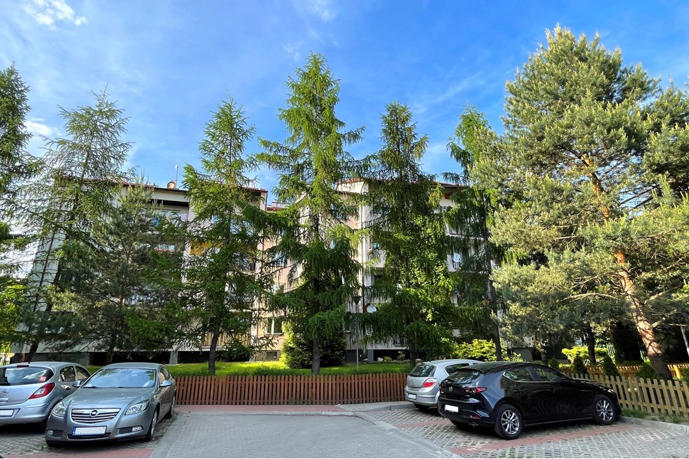 Samodzielne mieszkanie dwupoziomowe - Sprzedaż - Warszawa, Polska - IMG_2338.JPG - 810131032-80