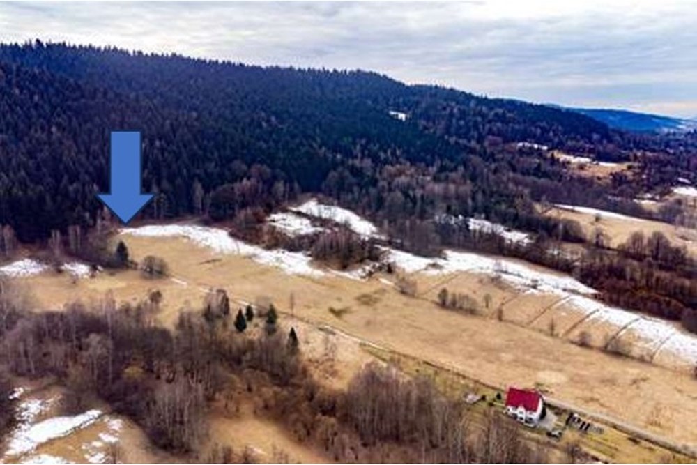 Działka budowlana - Sprzedaż - Las, Polska - Zrzut ekranu 2025-10-28 053632.jpg - 800061103-196