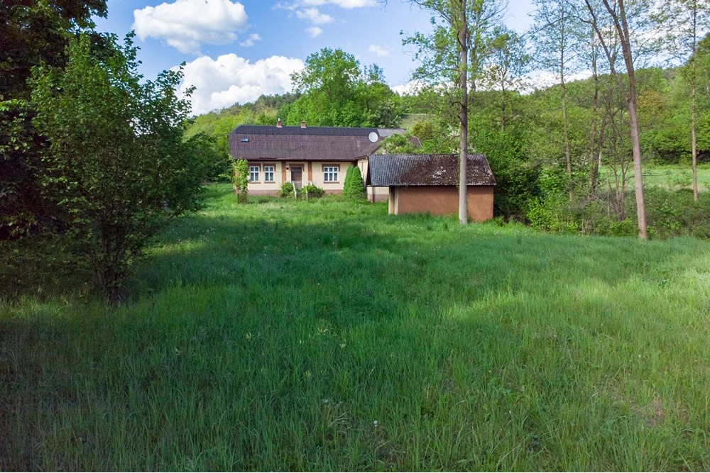 Działka budowlana - Sprzedaż - Regulice, Polska - DJI_0472.jpg - 800061111-168