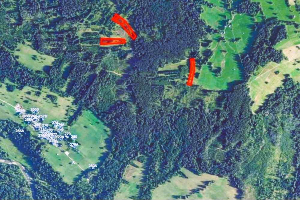 Działka - Sprzedaż - Dzianisz, Polska - OnGeo 2p..jpg - 470151050-8