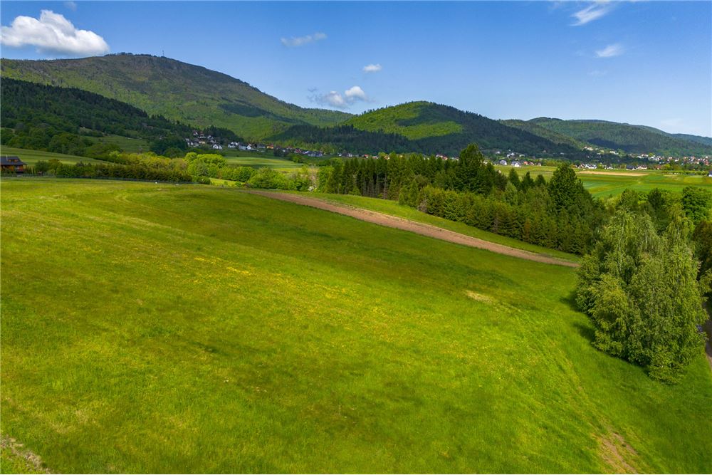 Działka budowlana - Sprzedaż - Lipowa, Polska - 4 - 800061107-97