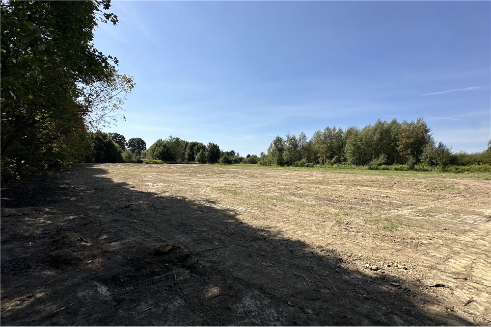 Działka - Sprzedaż - Jankowice, Polska - 29 - 800061103-174