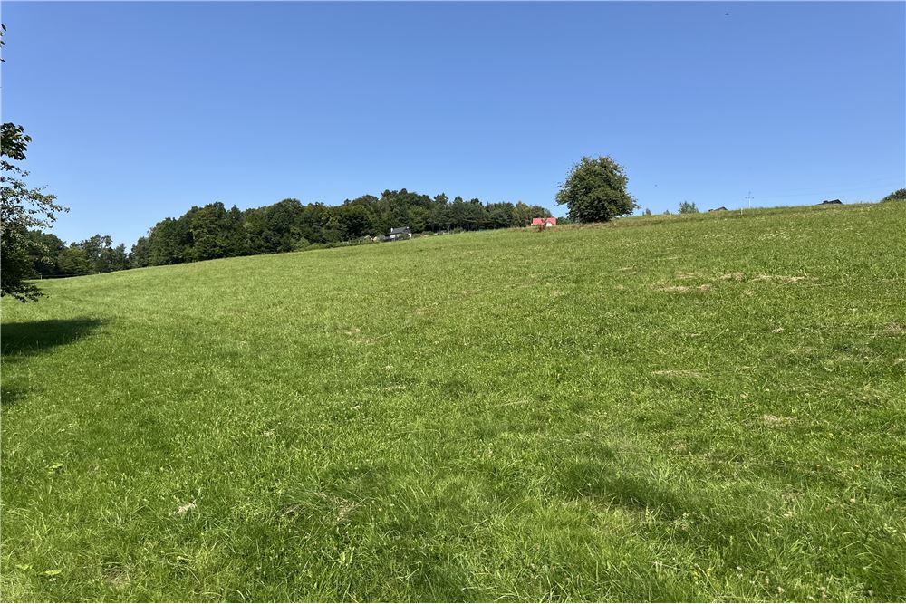 Działka budowlana - Sprzedaż - Młynne, Polska - 43 - 800061103-178