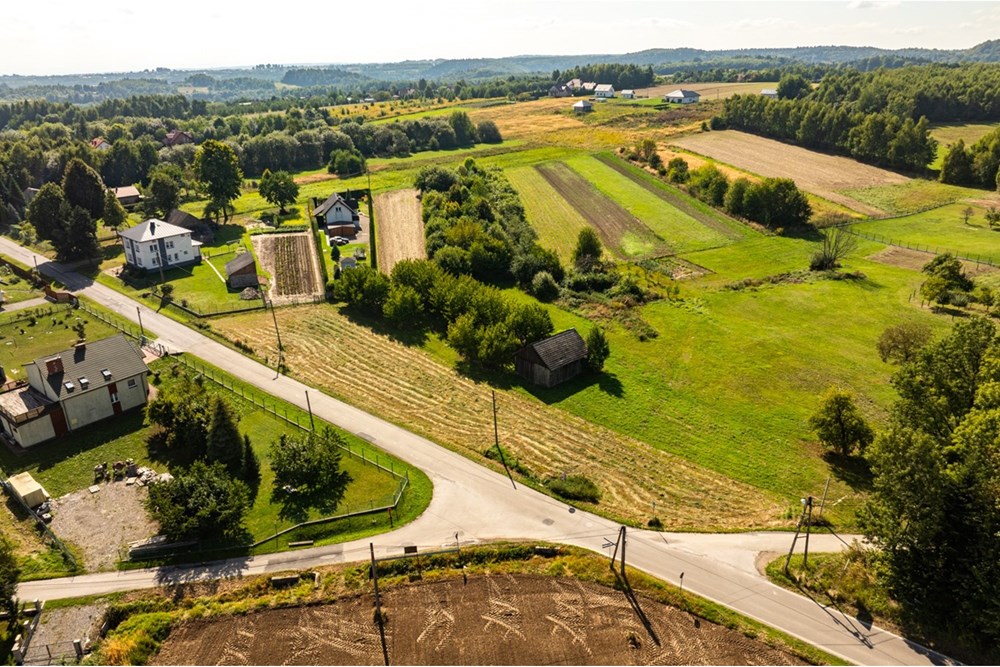 Działka - Sprzedaż - Smardzowice, Polska - 20250909-DJI_0163-HDR.jpg - 800241032-74