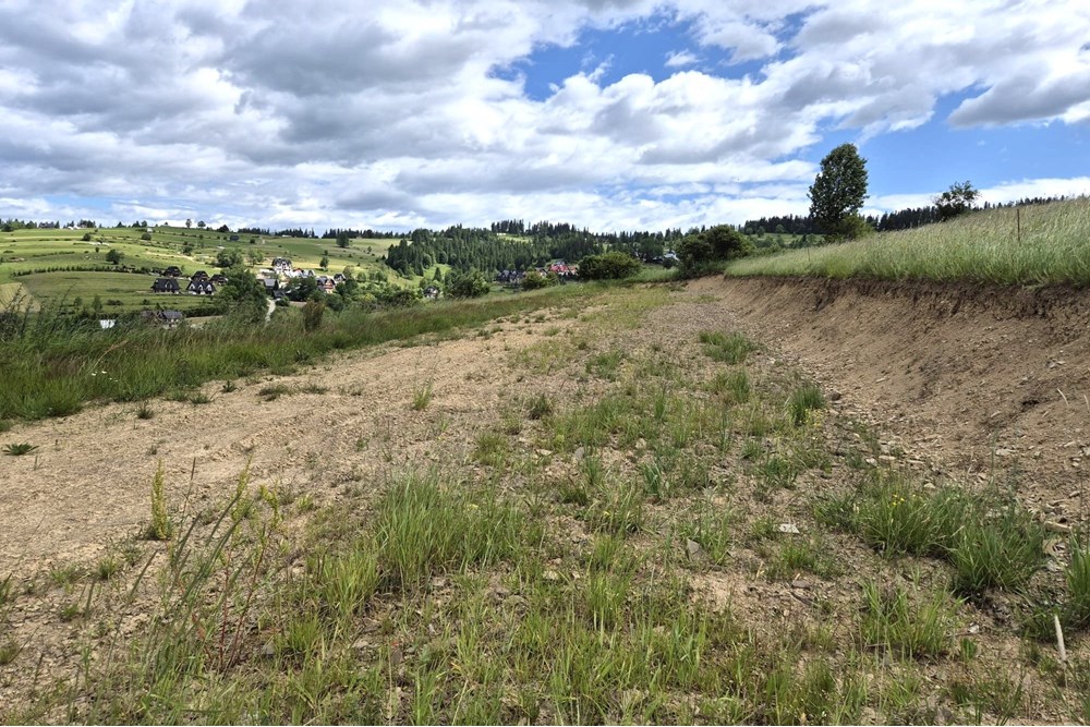 Działka - Sprzedaż - Rzepiska, Polska - Artur Zajac (6).jpg - 800091026-78