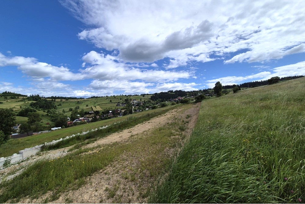 Działka - Sprzedaż - Rzepiska, Polska - Artur Zajac (5).jpg - 800091026-78