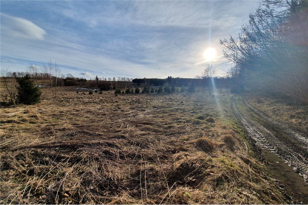 Działka budowlana - Sprzedaż - Bystra, Polska - 14 - 800091026-75