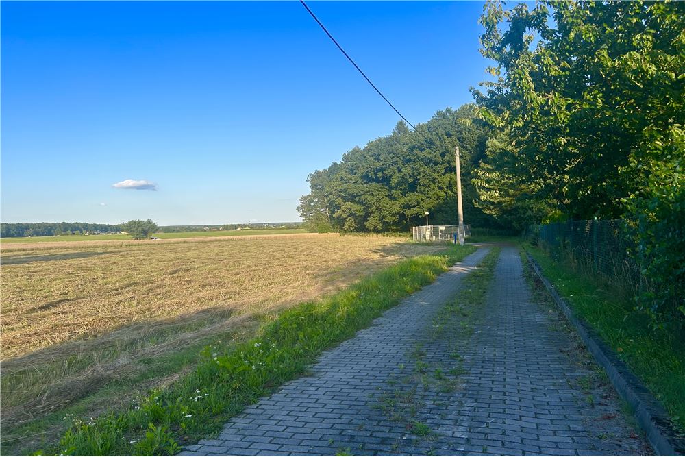 Działka budowlana - Sprzedaż - Rybnik, Polska - 8 - 800061090-240