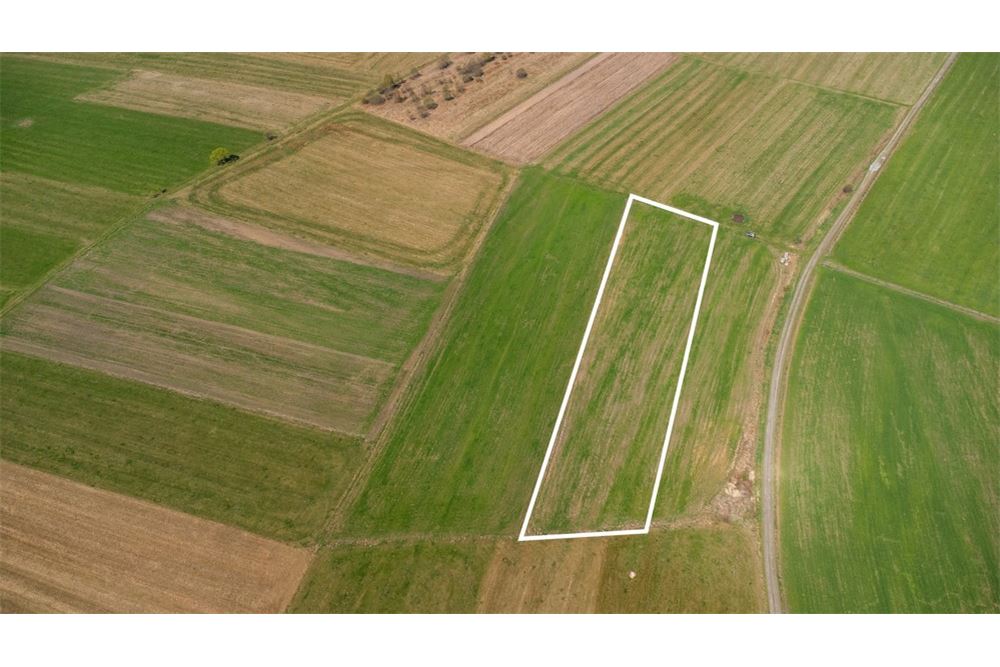 Nieruchomość gruntowa - Sprzedaż - Jabłonka, Polska - 18 - 470131089-56