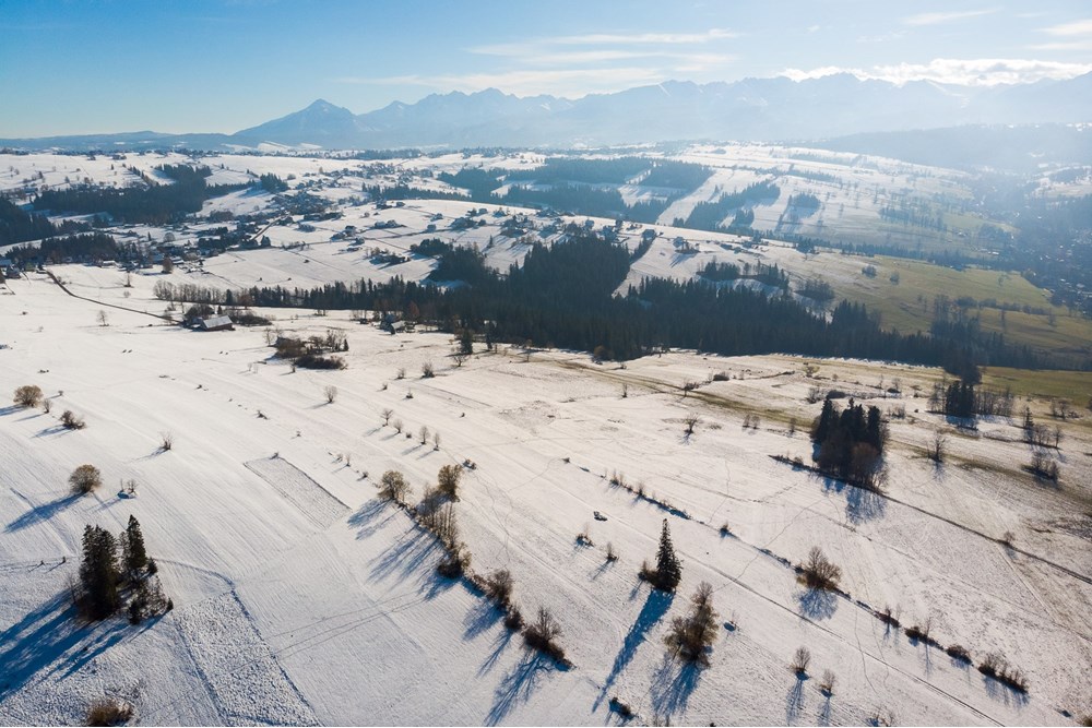 Działka - Sprzedaż - Ratułów, Polska - DJI_0381.jpg - 470151035-149