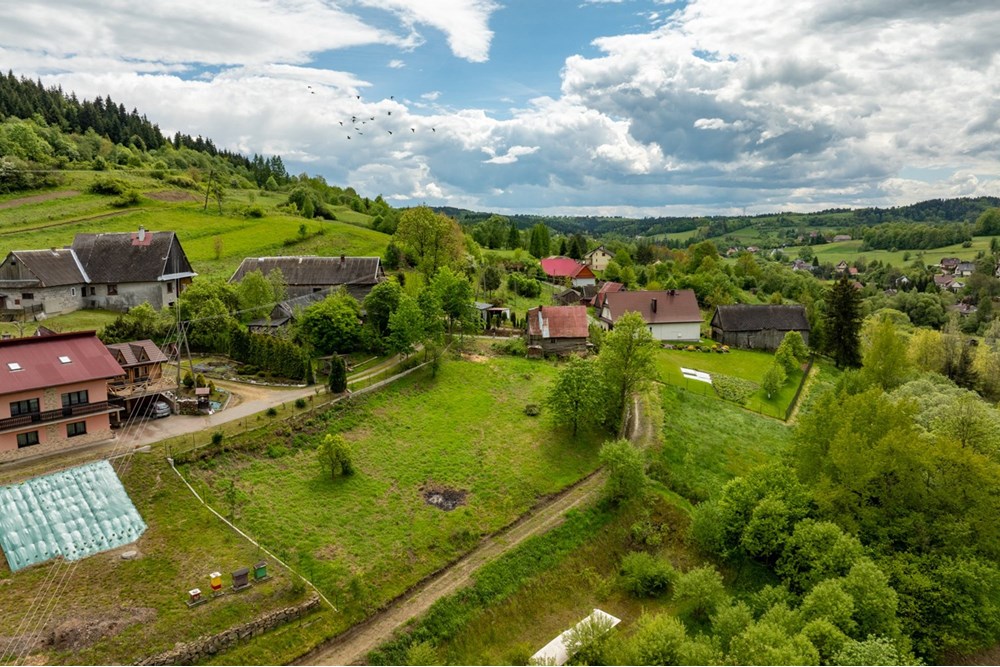 Działka budowlana - Sprzedaż - Łętownia, Polska - DJI_0899-HDR-9.jpg - 800091049-16