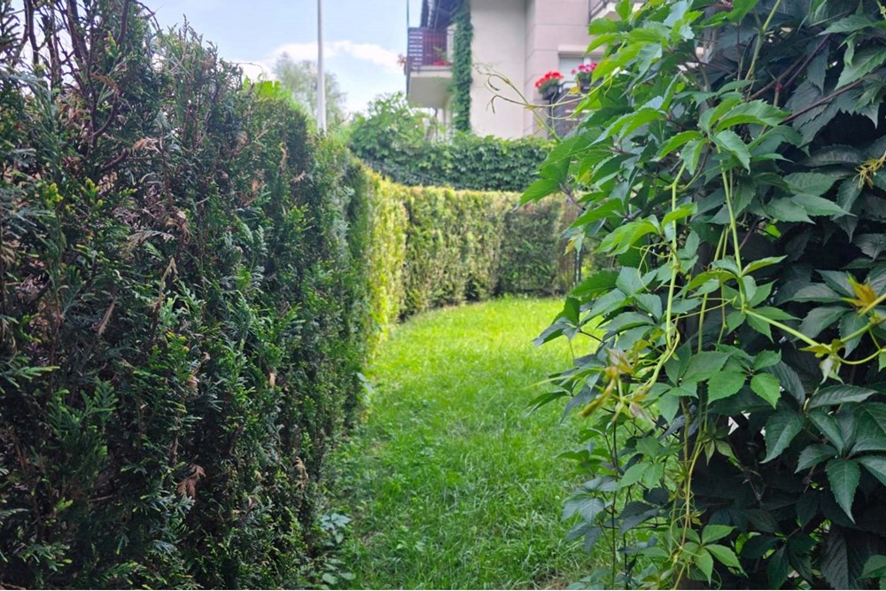 Mieszkanie na parterze - Sprzedaż - Bielsko-Biała, Polska - 22.jpg - 800061016-1271