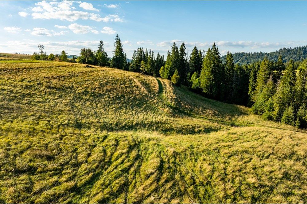 Działka - Sprzedaż - Zakopane, Polska - 20250826-DJI_0088-HDR.jpg - 470151024-449
